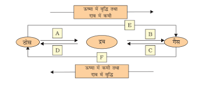 Class9 Science Hindi Ncert Solutions Ch1 Vigyan 1